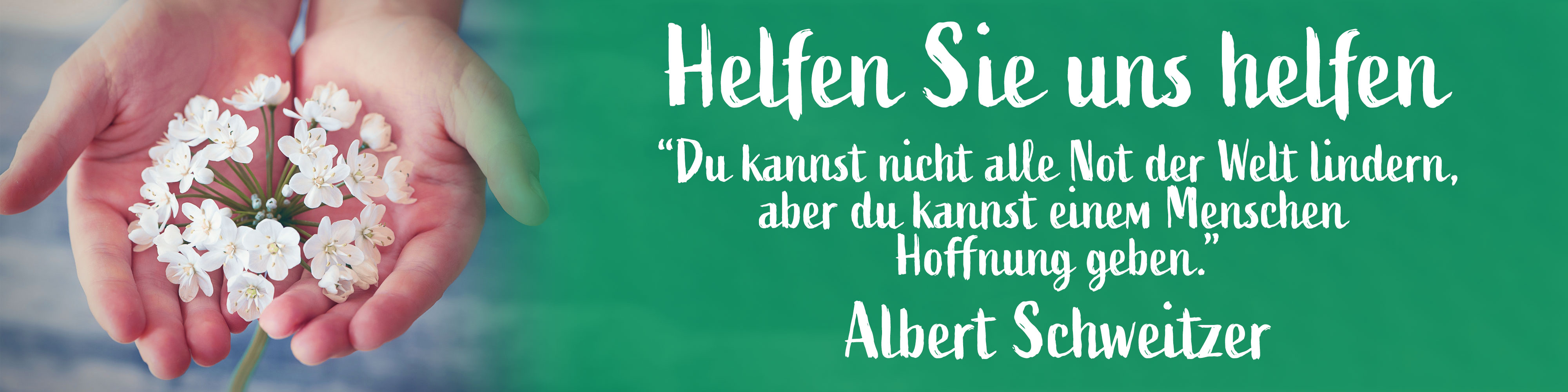 Albert Schweitzer Zitat - Spenden